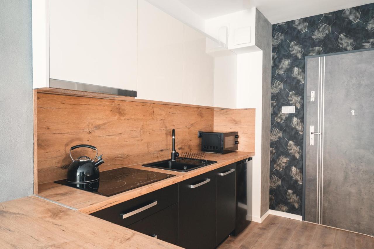 Apartament Nr 16 - Zrodlana 2 Daire Świeradów-Zdrój Dış mekan fotoğraf